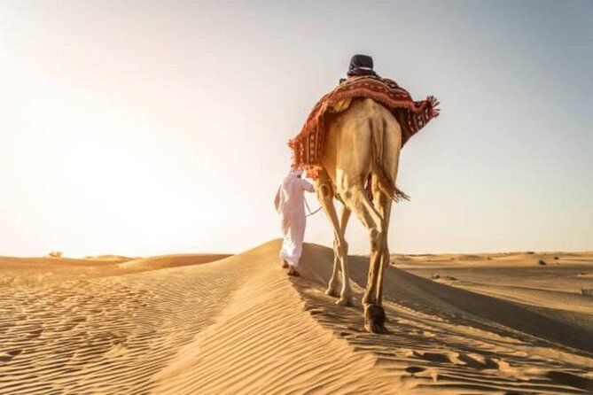 "Doha Desert : Safari, Sandboarding, Camel Ride & Inland Sea" - Ash Shaqra’ for Dune Bashing and Sandboarding Fun
