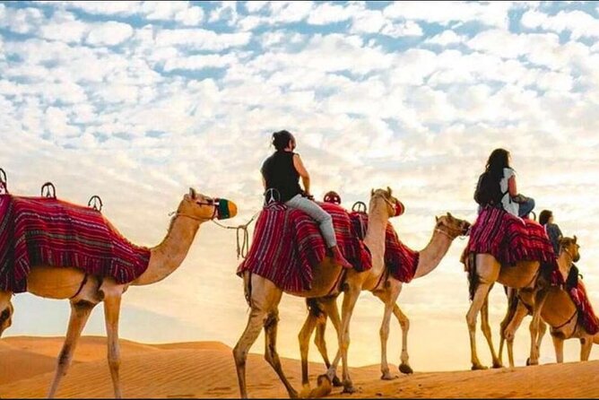 "Doha Desert : Safari, Sandboarding, Camel Ride & Inland Sea" - Getting Picked Up in Doha, Then Settling Into the 4x4