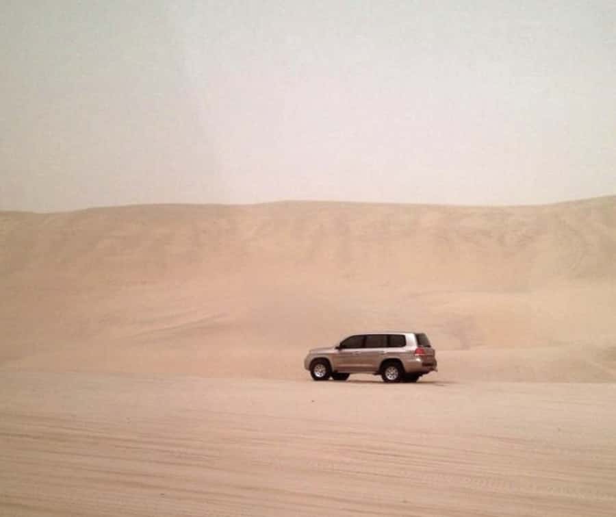 Doha Desert Safari: Sandboarding, Camel Ride & Swimming Fun - Camel Ride at 24 Beach Road: Quick Culture, Not a Theme Park