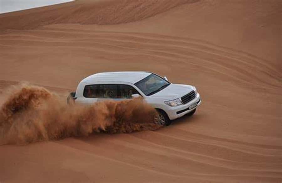 Doha Desert Safari: Sandboarding, Camel Ride & Swimming Fun - Inland Sea Swim at Khor Al Adaid: The Cool-Down With Limited Support