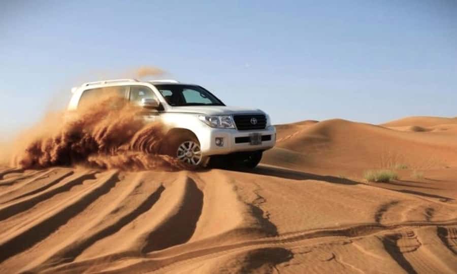 Doha Desert Safari: Sandboarding, Camel Ride & Swimming Fun - Price and Value: Is $50 Worth It?