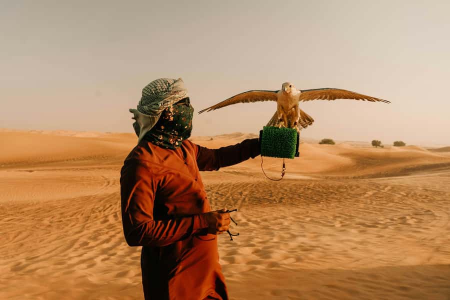 Doha: Desert Safari, Sandboarding, Dune Bashing & Inland Sea - Sandboarding at the Inland Sea: Sliding, Smiling, and Getting Over Fear