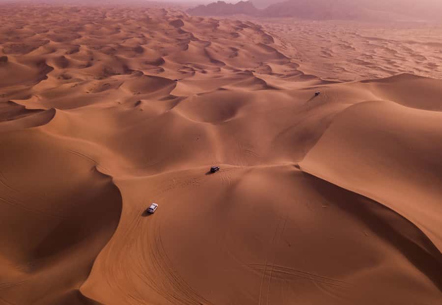 Doha: Desert Safari, Sandboarding, Dune Bashing & Inland Sea - What’s Included, What Costs Extra, and How to Judge the $22 Value