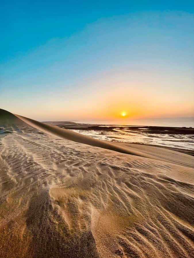 Doha: Desert Safari Sunrise Tour/Sunset Tour - Key things I’d plan for