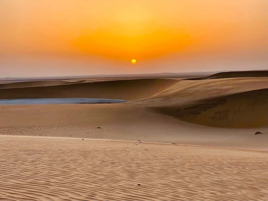 Doha: Desert Safari Sunrise Tour/Sunset Tour - Mesaieed Desert photo stop and camel ride, a calm start before the thrills