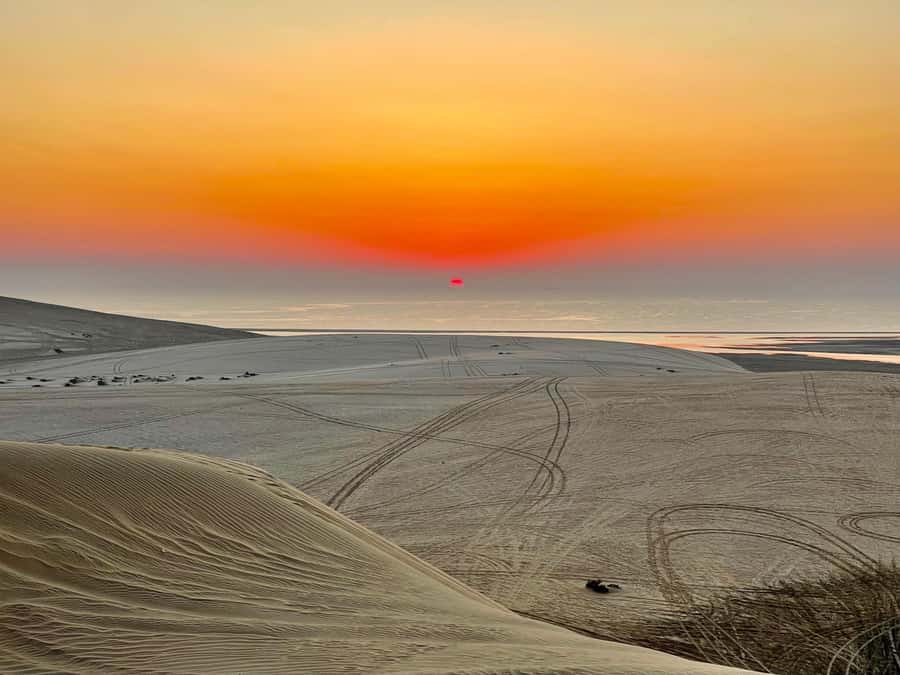 Doha: Desert Safari Sunrise Tour/Sunset Tour - Dune bashing in Qatar, what you’ll feel and how to enjoy it