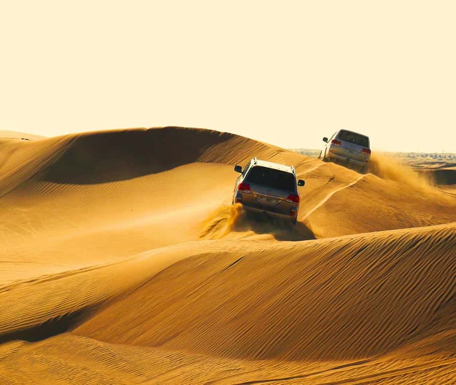 "Doha Desert Safari with all activities" - Why This 4-Hour Doha Desert Safari Fits Real Schedules