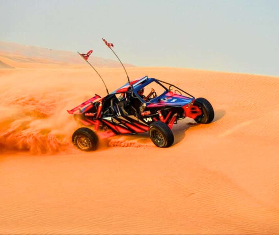 Doha: Desert Safari with Camel Ride and Quad Bike and Buggy - The standout parts