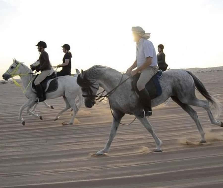 Doha: Desert Safari with Camel Ride and Quad Bike and Buggy - Doha Desert Safari With Camel Ride, Quad Bike, and Buggy: The Real Vibe