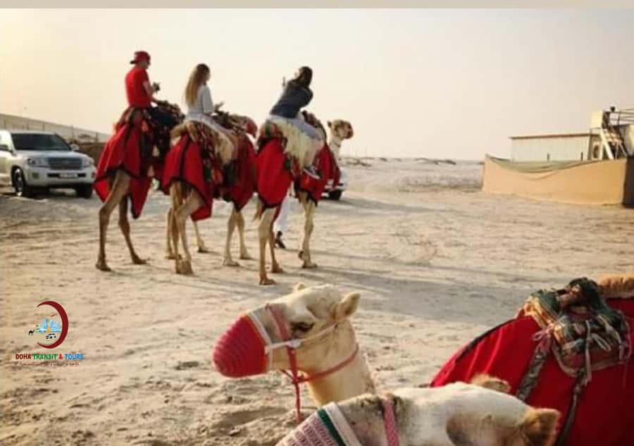 Doha: Desert Safari with Dune Bashing and Inland Sea - Inland Sea at Khor Al Adaid: where the mood turns calm