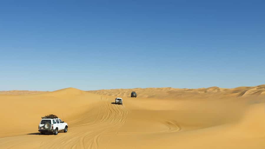 Doha: Desert Safari with Dune Bashing and Inland Sea - What your English guide really adds to the experience