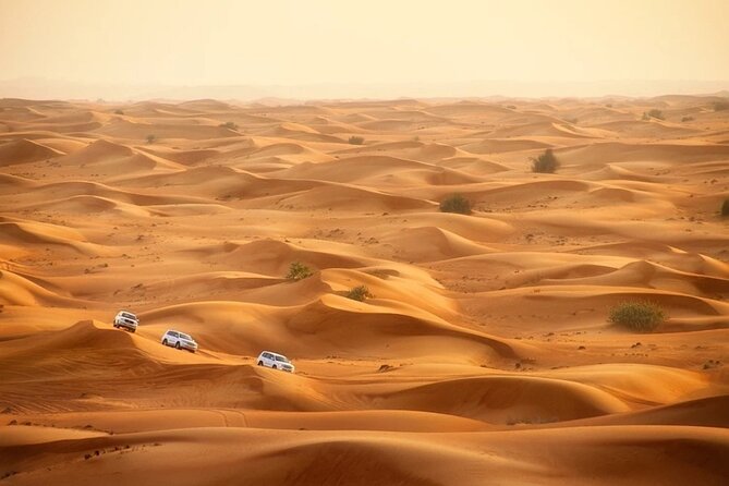 Doha: Desert Safari With Quad bike ,Camel Ride And Sand Boarding - Falcon show and the one thing to confirm before you go
