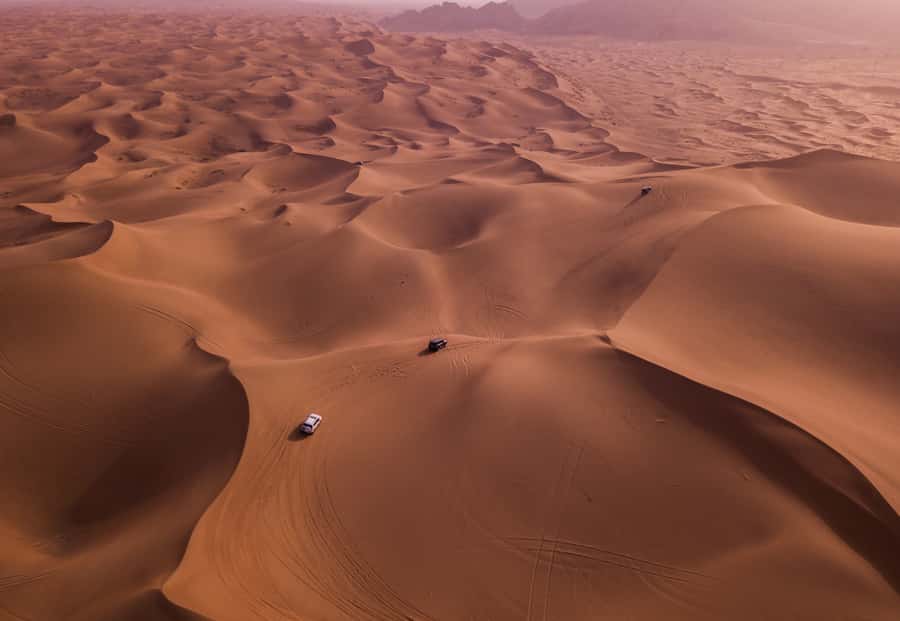 Doha: Desert Safari with Quad Bike, Sandboard & Camel Ride - Dune Bashing in a 4WD Toyota: The Part That Feels Like a Roller Coaster