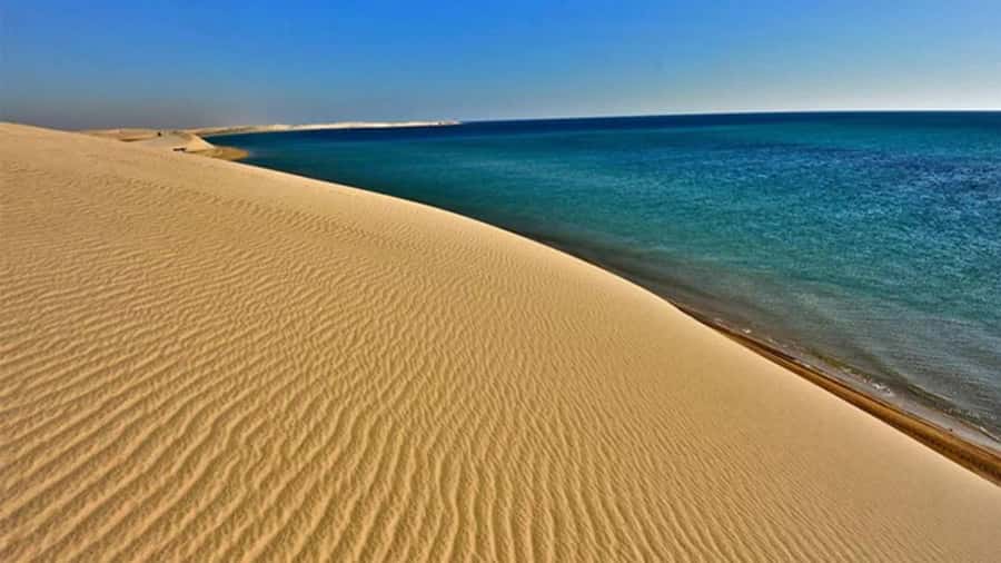 Doha: DesertSafari with Quad Bike, Camel Ride & Sandboarding - A short half-day safari that actually delivers variety