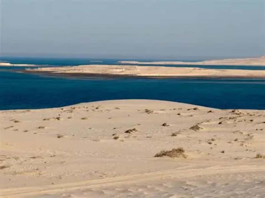 Doha: DesertSafari with Quad Bike, Camel Ride & Sandboarding - Optional quad bike on a dedicated desert track