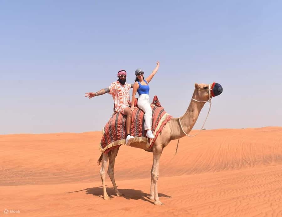 Doha: DesertSafari with Quad Bike, Camel Ride & Sandboarding - Price and value: what $18 gets you, and how to choose add-ons