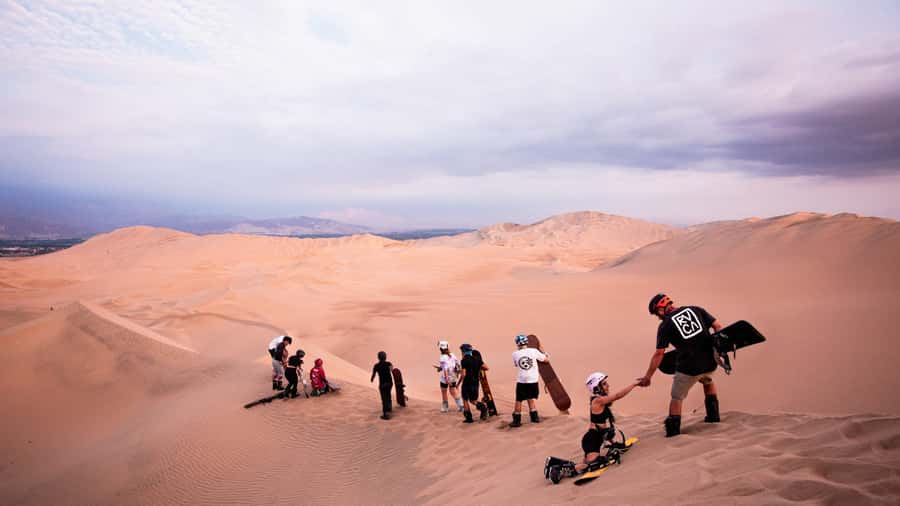 Doha: Dune Bashing Safari, Falcon, Camel, ATV, Sandboarding - A 4-Hour Desert Hit From Doha, With Real Activities