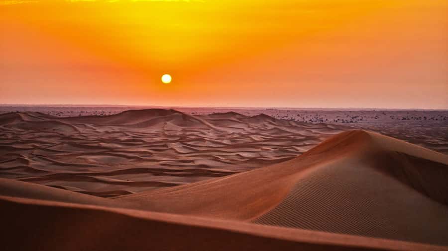 Doha: Dune Bashing Safari, Falcon, Camel, ATV, Sandboarding - Dune Bashing and Sandboarding: Where the Adrenaline Gets Real