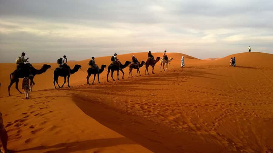 Doha: Dune Bashing Safari, Falcon, Camel, ATV, Sandboarding - Price and Value: Why This $27 Safari Packs a Lot