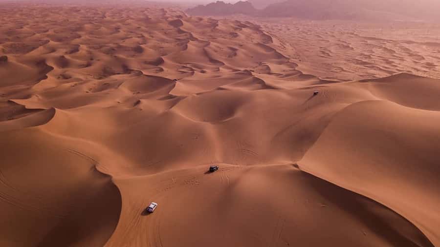 Doha: Dune Bashing Safari, Falcon, Camel, ATV, Sandboarding - Sealine Start: Tire Deflation, Falcons, and Camels Before the Chaos
