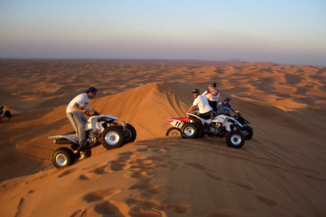 Doha: Escape to Eternity, Relaxing Desert Wonders with Camel Ride - Mesaieed: Camel Ride, Falcon Photos, and Bedouin Tea Time