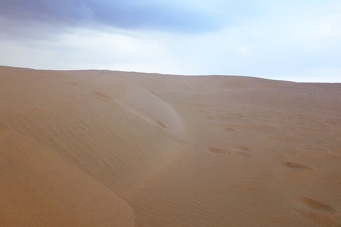 Doha: Escape to Eternity, Relaxing Desert Wonders with Camel Ride - Price and Value: Is $79 a Good Deal for 3 to 4 Hours?