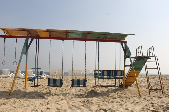 Doha : Full Day Desert Safari | BBQ Dinner | Inland sea - Camel Rides and Other Add-Ons: How to Decide Without Regret
