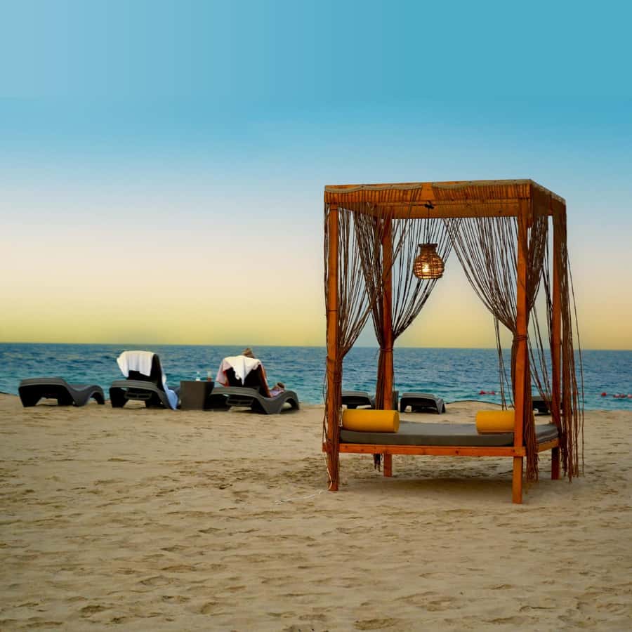 Doha: Full-Day Desert Safari, Dune Bashing & BBQ Dinner - Camel Ride at Sealine: Short, Scenic, and Worth It