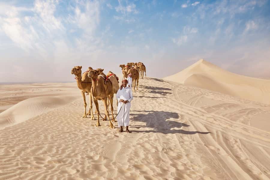 Doha Full Day Guided Tour in Qatar North and West - Al Thakhira Mangroves and the Beach Pause You Actually Need