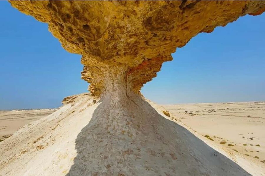 Doha: Full-Day North and West Tour with Forts and Qatari - Quick Hits Before You Go