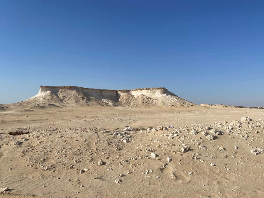 Doha Full Day North & West Tour | Rich History & culture - Ras Brouq nature reserve and the mushroom hills feel