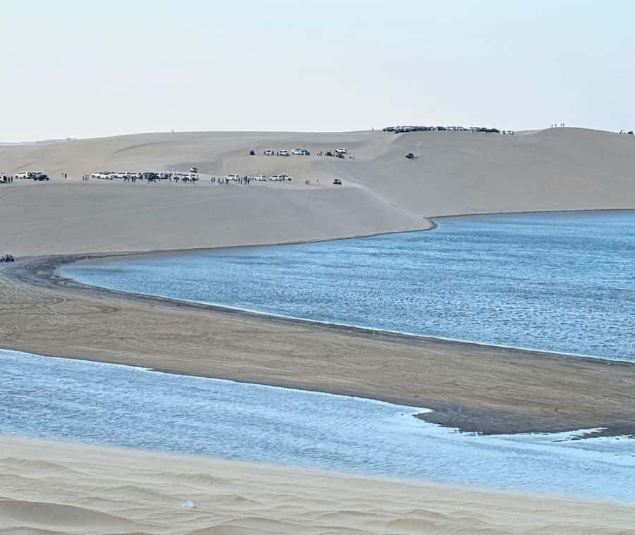 Doha: Guided Desert Safari Tour with Pickup & Drop Service - Key things to know before you go