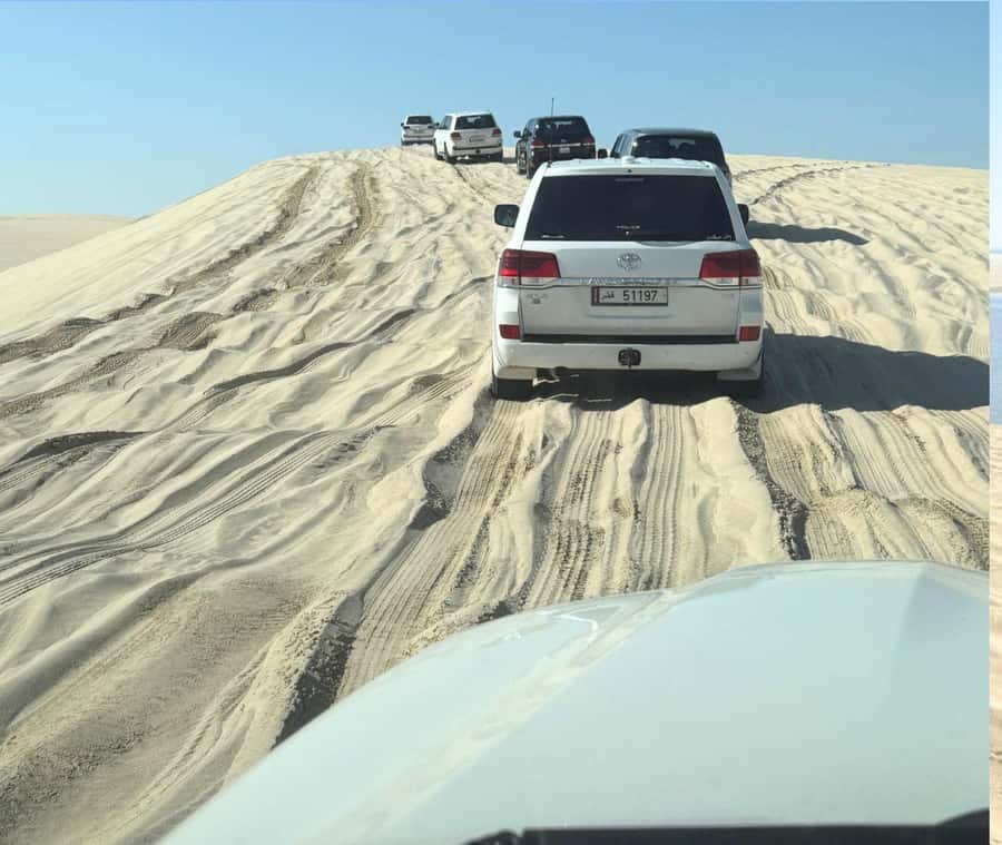 Doha: Guided Desert Safari Tour with Pickup & Drop Service - Sealine Beach Resort stop: sandboarding, camel ride option, and camp vibes