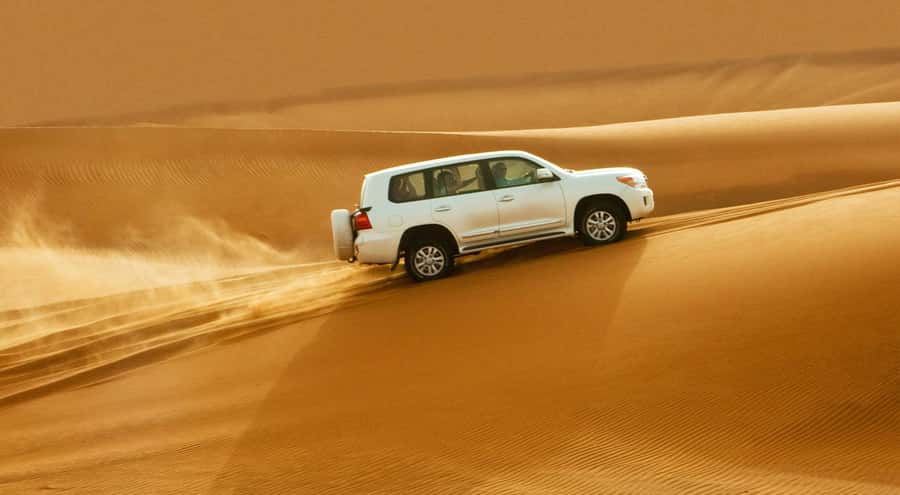 Doha: Half Day Desert Safari, Dune Bashing, Camel Ride - Khor Al Adaid Inland Sea: where the desert meets real water