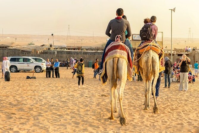 Doha Half Day Desert Safari Dune Bashing CamelRide & Sandboarding - Camel ride at Sealine: a classic add-on you should budget for