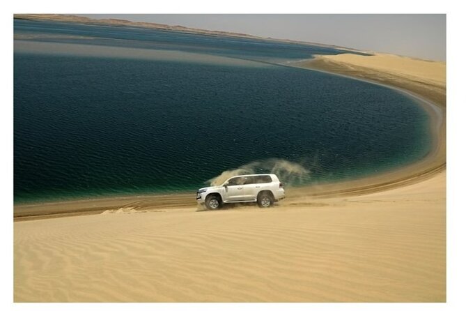 Doha Half Day Desert Safari Dune Bashing CamelRide & Sandboarding - Comfort, group size, and who this safari suits best