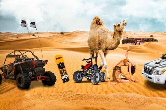 Doha: Half Day Desert Safari with Camel Ride and Inland Sea Tour - Key Highlights You Should Know Before You Go