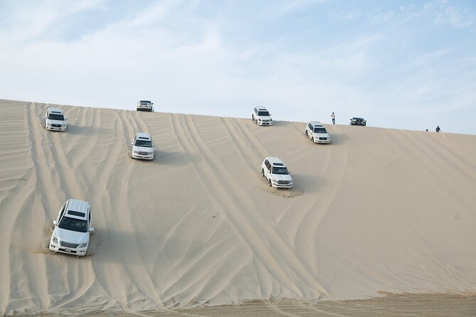 Doha: Half Day Desert Safari with Camel Ride and Inland Sea Tour - Sealine Beach Start: Tea, Camel Ride, and Easy Desert Views