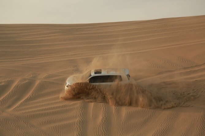 Doha: Half Day Desert Safari with Camel Ride and Inland Sea Tour - Guides, Safety, and the Small-Group Feel