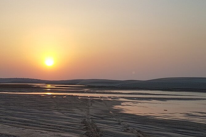 Doha : Half Day Desert Safari With SandBoarding and Camel Ride - Price and Value: Is About $60 Fair for This Much Qatar?