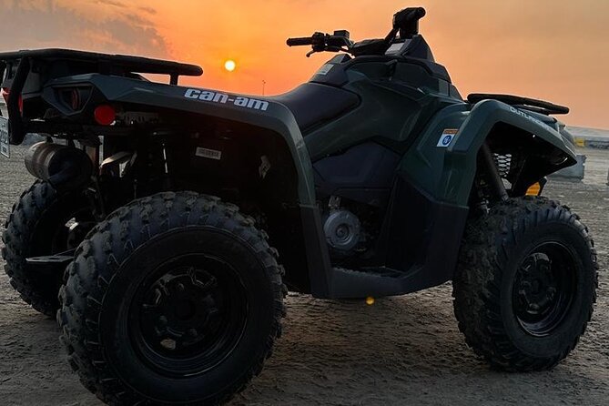 Doha-Half Day Safari with Quad Bike ATV/Camel Ride/sandboard - Camel Ride and Sandboarding: The Desert Slows Down (A Little)