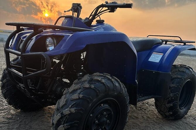 Doha-Half Day Safari with Quad Bike ATV/Camel Ride/sandboard - Dune Bashing With a Pro: Where the Real Memory Lives