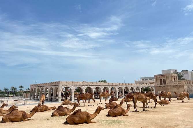 Doha Highlights Guided Tour With Dhow Cruise - Katara Cultural Village, contemporary design and cultural programming