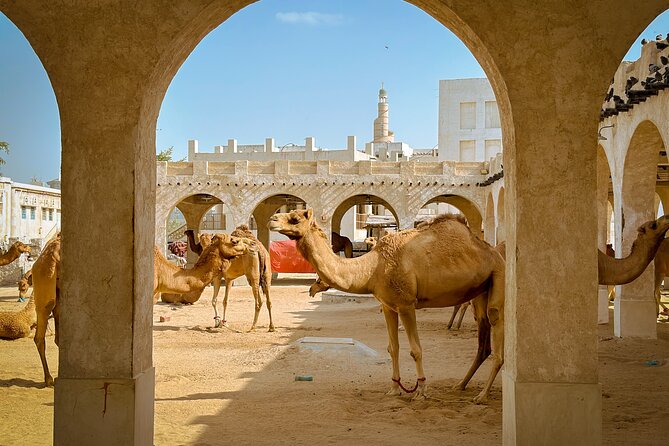 Doha Highlights Private City Tour with Licensed Tour Guide - Price and Value: What $42 Really Buys You