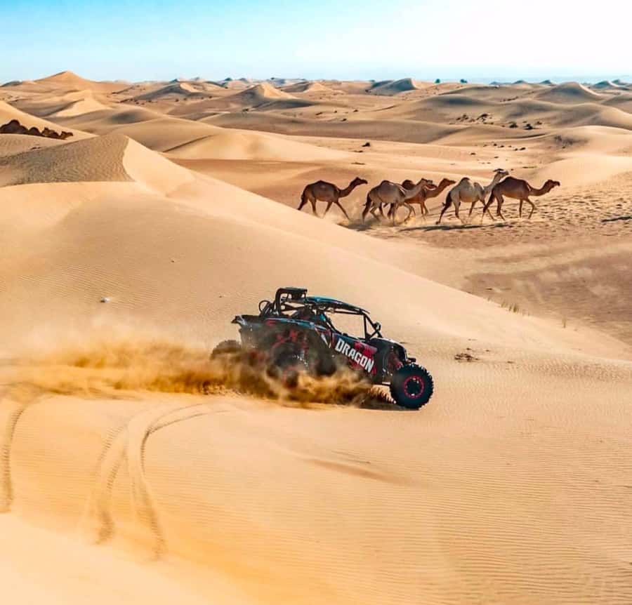 Doha: Inland Sea, Desert Safari, Camel Ride and Sandboarding - Camel ride on the private option, for a calmer change of pace