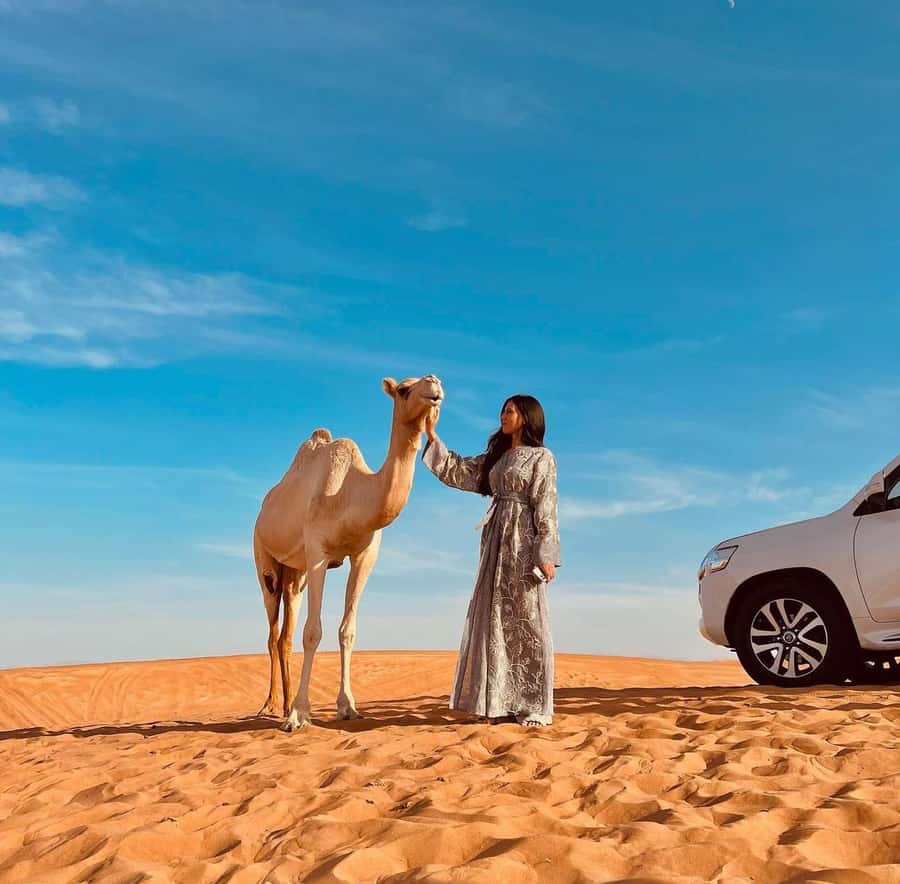 Doha: Inland Sea, Desert Safari, Camel Ride and Sandboarding - Stops for views, photos, and guided explanations along the way