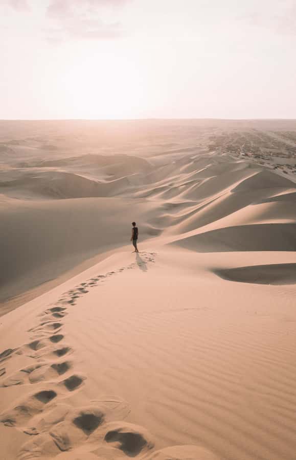 Doha : Inland Sea Desert Safari ,Camel Ride & Sandboarding - Price and Value: Is $15 per Person a Good Deal
