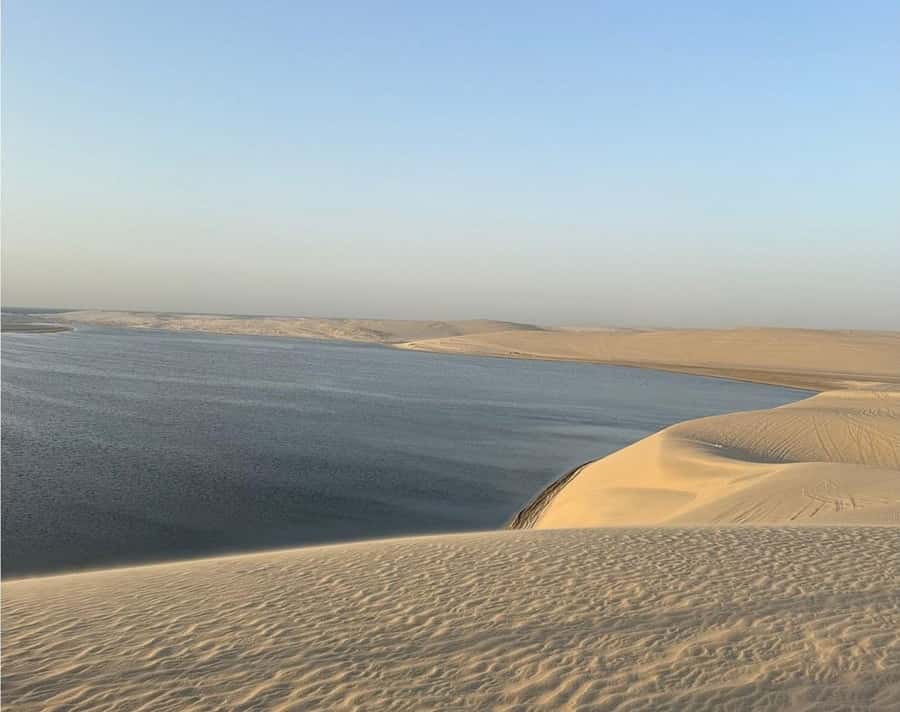 Doha: InlandSea Tour,Camel,Sand Boarding With All Activities - Dune bashing: adrenaline with a focus on safe control