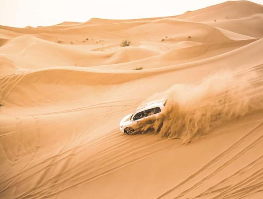 Doha: InlandSea Tour,Camel,Sand Boarding With All Activities - Camel ride after the action: a slower way to see the dunes