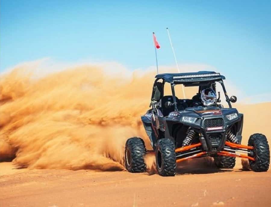 Doha: InlandSea Tour,Camel,Sand Boarding With All Activities - Shared car limits and language: why this feels easier than big groups